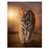 Tableau Tigre